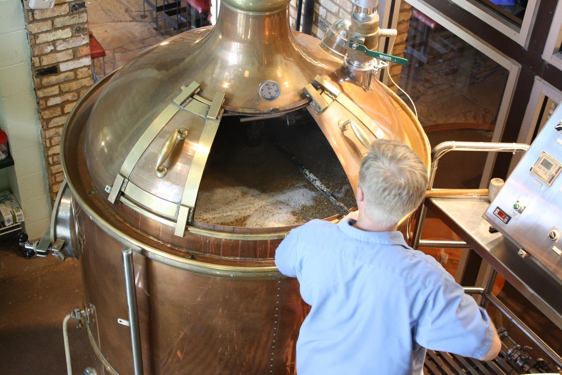 Plants de Houblon pour Brasserie Artisanale